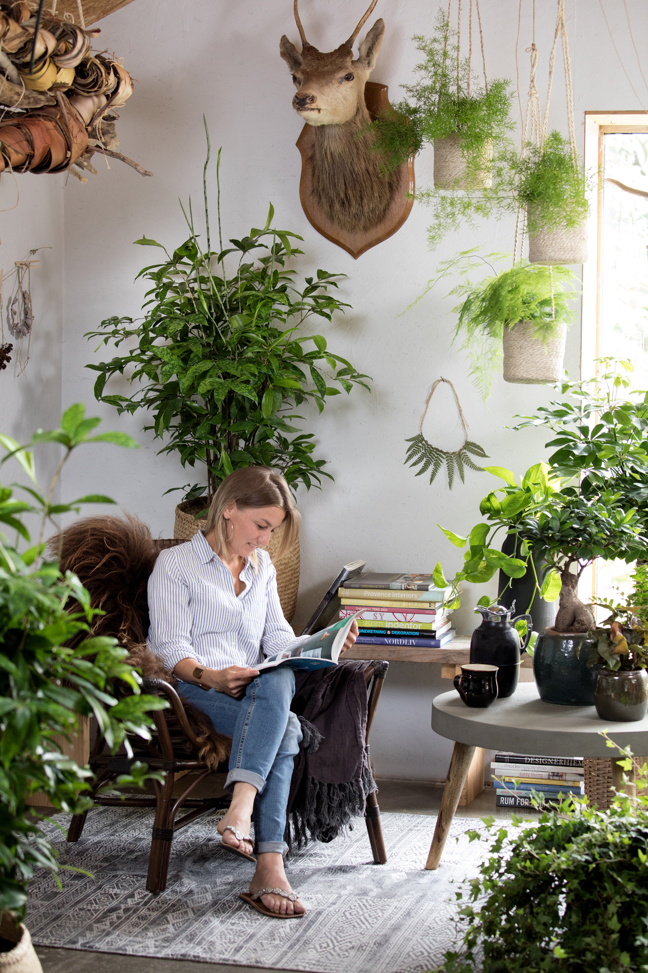 Floradania marketing: plants Stue asparagus