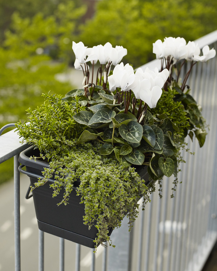 Floradania marketing: sensommerudsigt fra altanen