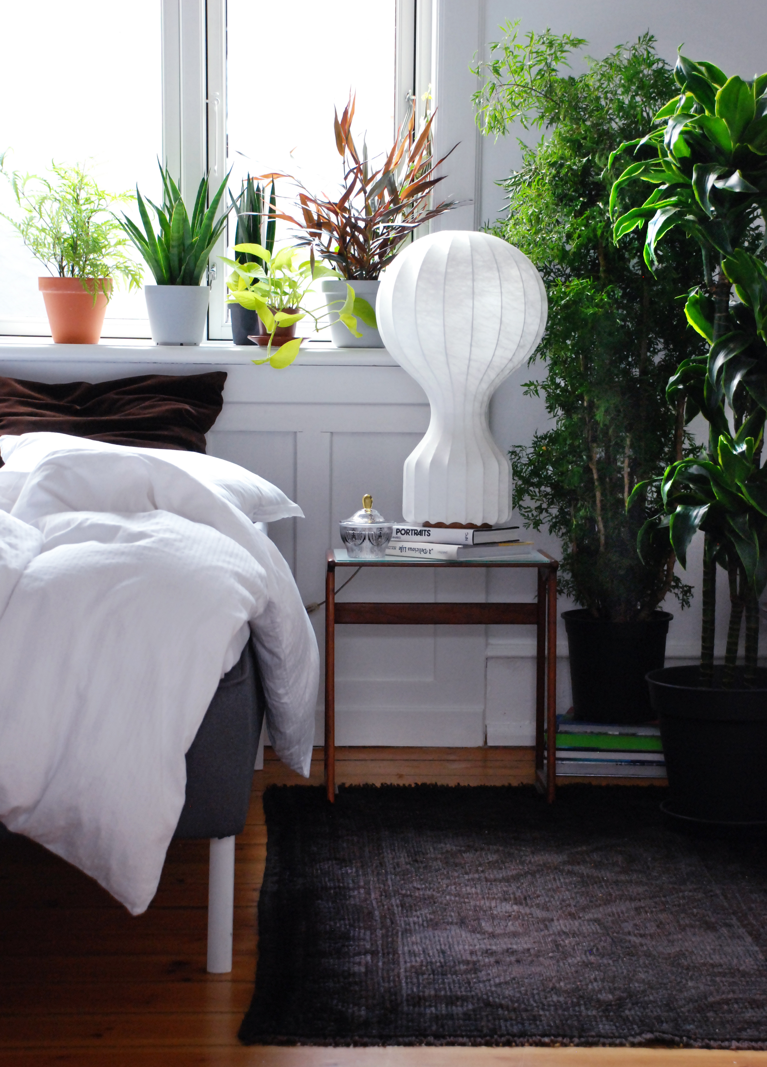 Floradania marketing: ren luft derhjemme med grønne planter