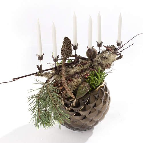 271010 013 Image of Crassula muscosa