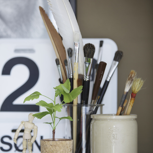 Ginkgo Ginkgoaceae (9839)