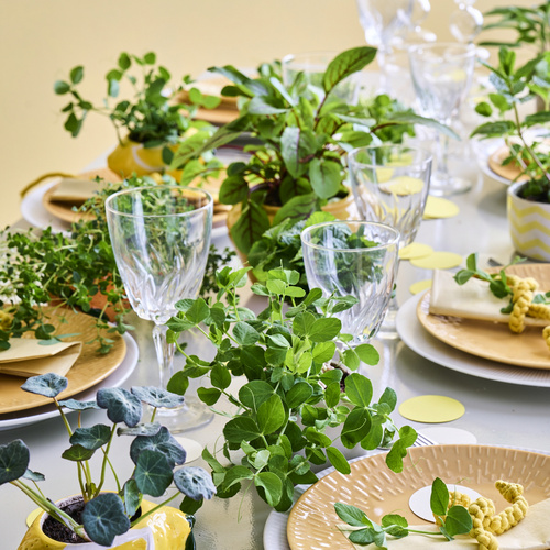 Image of Krydderurter mix