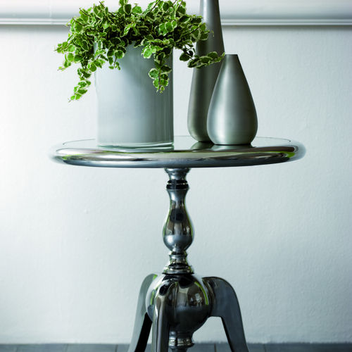 fd 50 ficus pumila Ficus Moraceae (9595)