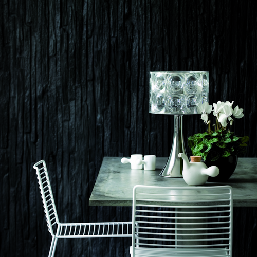 Cyclamen Primulaceae (8563)