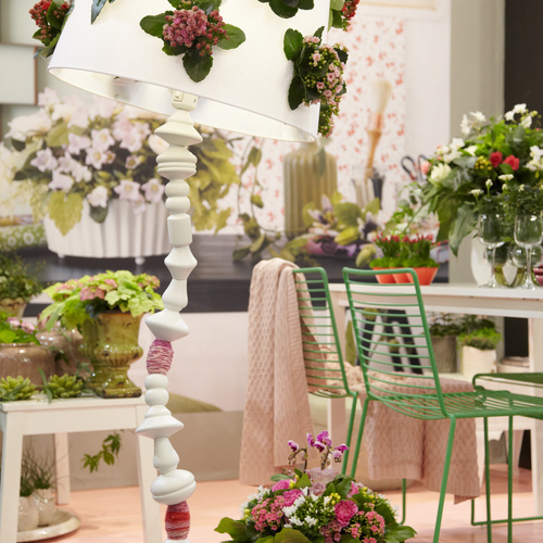 Image of Kalanchoe hybrid