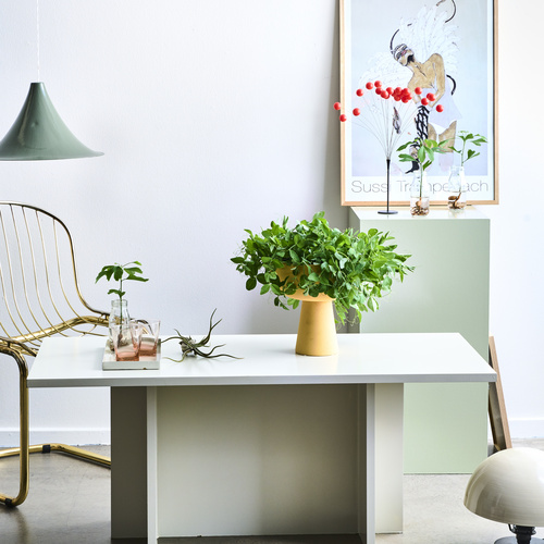 Image of pisum sativum