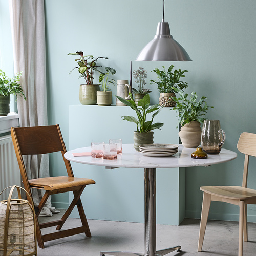 Image of Philodendron congo