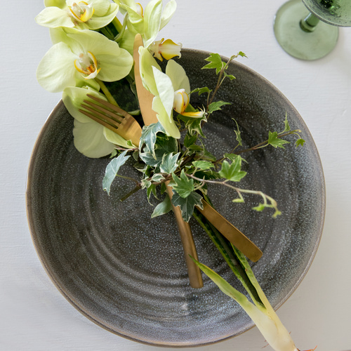 Sansevieria trifasciata Phalaenopsis hedera luftrenser 2 Sansevieria Agavaceae (65222)