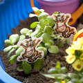 170311_0528.jpg