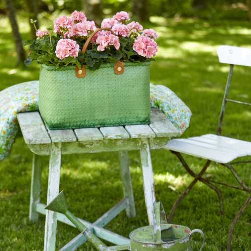 Image of Fritillaria meleagris