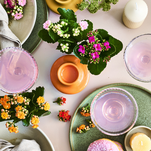 Image of Kalanchoe blossfeldiana