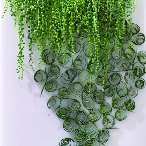 formland aug 2006 - mindcraft2 Senecio Compositae (14751)