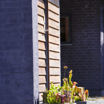 Say welcome with plants in containers that match your style and home