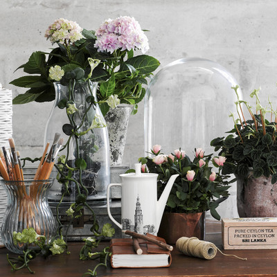 Sommarens växttrend: Botanical Renaissance