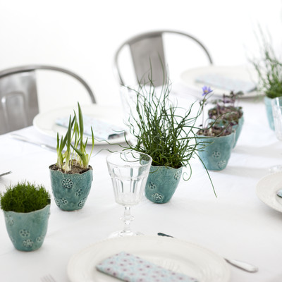 Table decorations with living plants