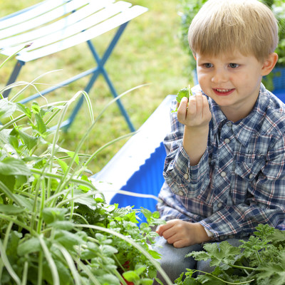 A sensory universe for children in the garden