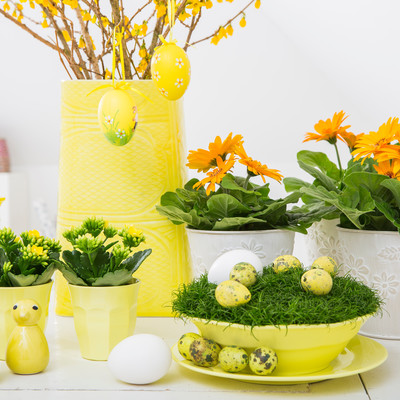 Easter with passion and plants