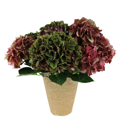 Vintage Hortensia til efterårets bolighygge