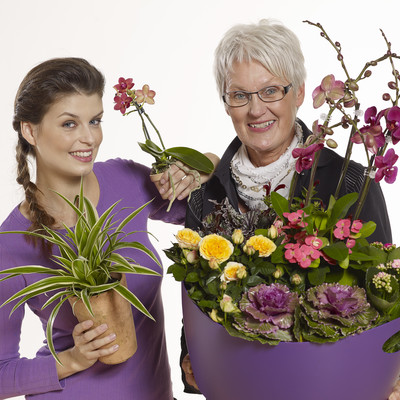 The older you get, the more plants you buy