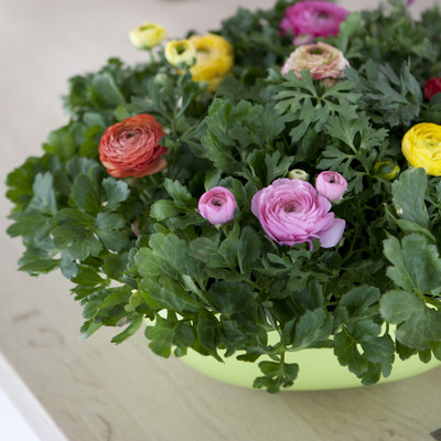 Spring is springing - refresh your containers