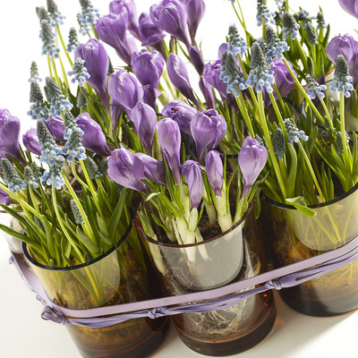 This spring's plant trend: Flowers conquer the home