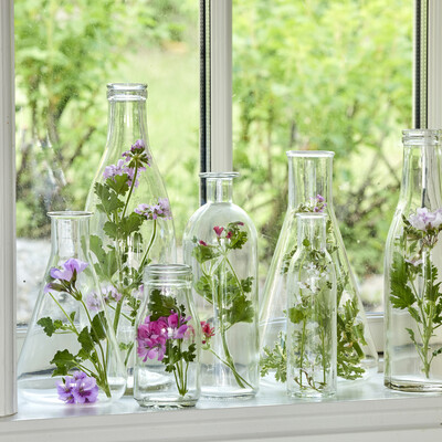Langvarig blomstermagi