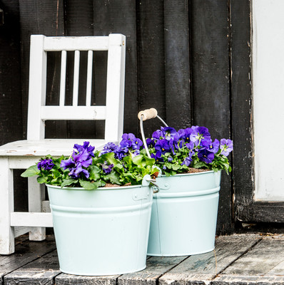 Floradania Dk Hangende Fruhlingsboten