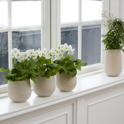 What does your window-sill signal?