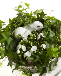 Celebrate Easter with plant decorations