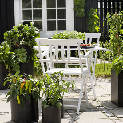 Herbs and edible specialities on the terrace