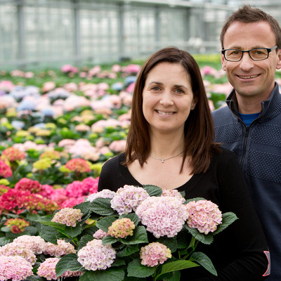 En rikedom av blommor i 150 dagar