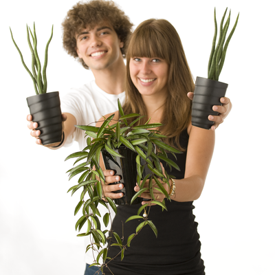 Perfect plants for your busy teenager