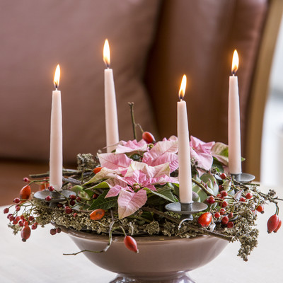 Adventskransar med miniplantor
