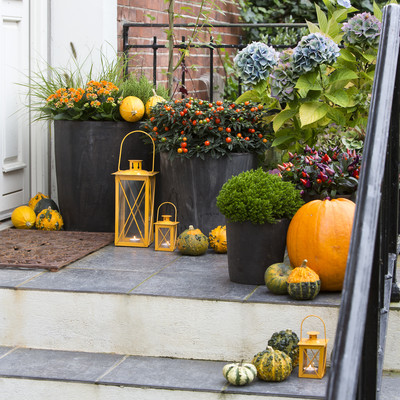 Farbenfrohes Halloween in Haus und Garten